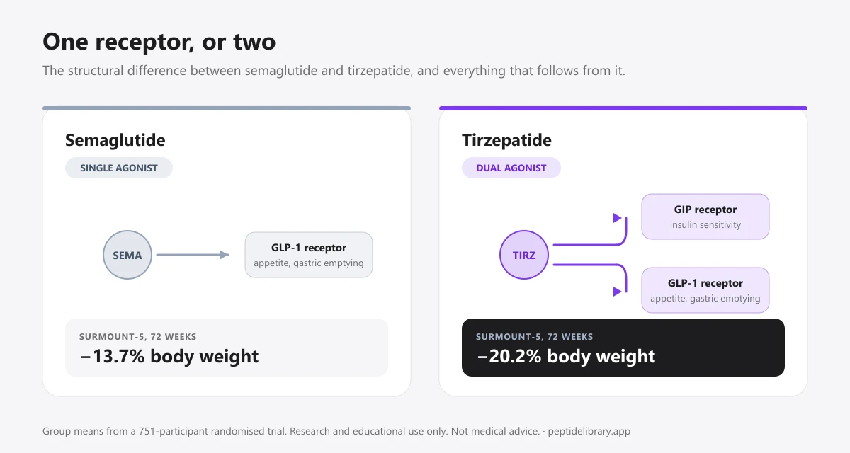 Diagram comparing semaglutide acting on the GLP-1 receptor alone with tirzepatide acting on both GIP and GLP-1 receptors